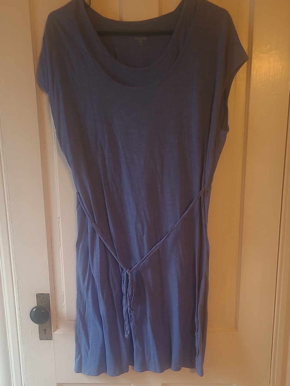 Garnet Hill Blue Layered Tunic Dress